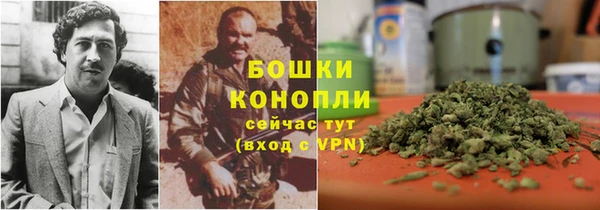 гашиш Богданович