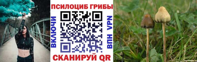 Галлюциногенные грибы Cubensis  дарк нет как зайти  Электроугли 